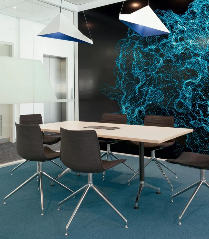 办公椅|现代真皮会议椅|办公火狐官方网站|火狐HUOHU（中国）火狐官方网站|Catifa 46 会议椅